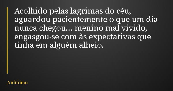 Acolhido pelas lágrimas do céu, aguardou pacientemente o que um dia nunca chegou... menino mal vivido, engasgou-se com às expectativas que tinha em alguém alhei... Frase de Anônimo.