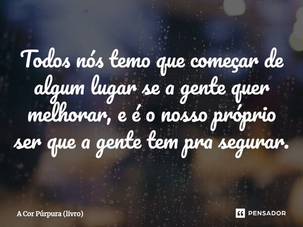 ⁠Todos nós temo que começar de algum lugar se a gente quer melhorar, e é o nosso próprio ser que a gente tem pra segurar.... Frase de A Cor Púrpura (livro).