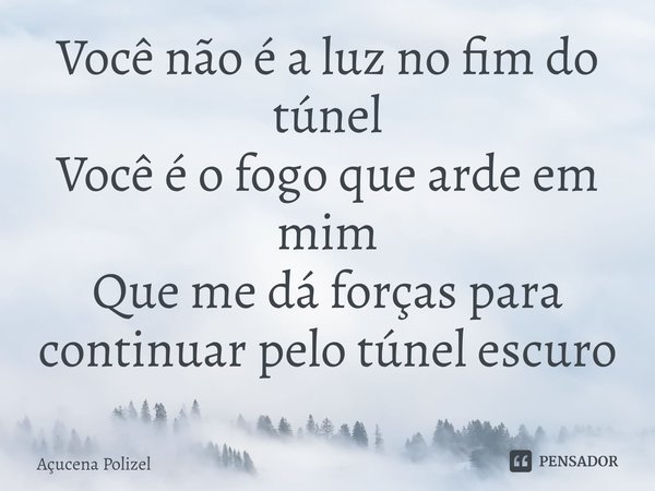 ⁠Você não é a luz no fim do túnel
Você é o fogo que arde em mim
Que me dá forças para continuar pelo túnel escuro... Frase de Açucena Polizel.