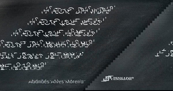 A FLOR DA VIDA! A FLOR QUE VEJO! A FLOR QUE ALMEJO! A FLOR DA MINHA ALMA! É DEUS DONO DE MIM & ME ACALMA!... Frase de Adaildes Alves Moreira.