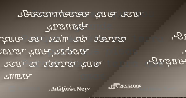 Desconheces que sou grande Porque eu vim da terra pura que pisas Porque sou a terra que amas... Frase de Adalgisa Nery.