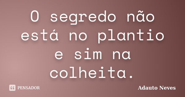 O segredo não está no plantio e sim na colheita.... Frase de Adauto Neves.