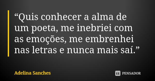 “Quis conhecer a alma de um poeta, me inebriei com as emoções, me embrenhei nas letras e nunca mais saí.”... Frase de Adelina Sanches.