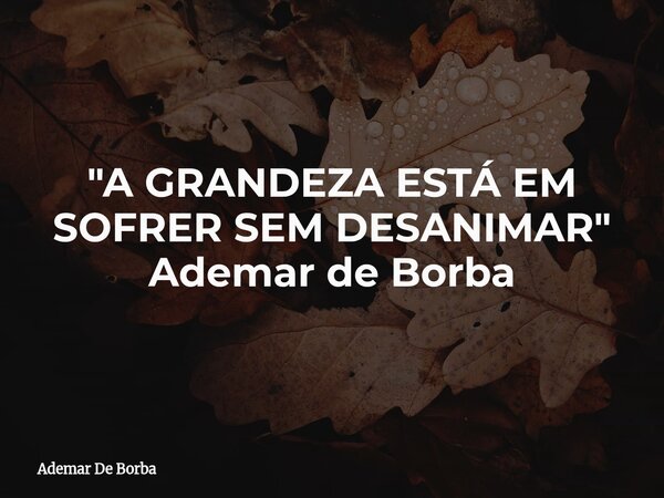 "A GRANDEZA ESTÁ EM SOFRER SEM DESANIMAR" Ademar de Borba... Frase de Ademar De Borba.