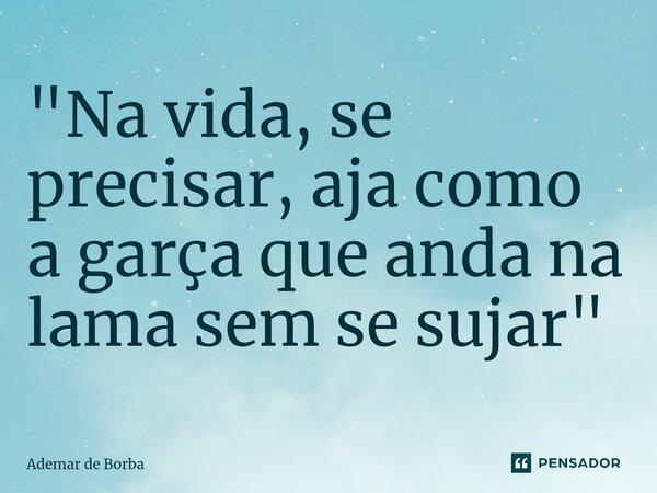 ⁠"Na vida, se precisar, aja como a garça que anda na lama sem se sujar"... Frase de Ademar de Borba.