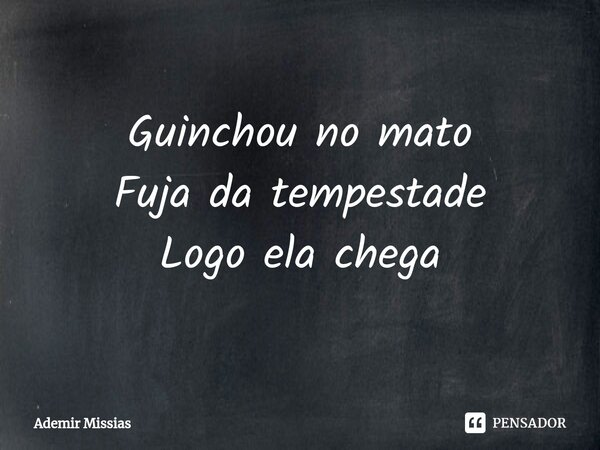 ⁠Guinchou no mato Fuja da tempestade Logo ela chega... Frase de Ademir Missias.