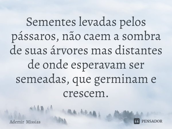 Se⁠mentes levadas pelos pássaros, não caem a sombra de suas árvores mas distantes de onde esperavam ser semeadas, que germinam e crescem.... Frase de Ademir Missias.