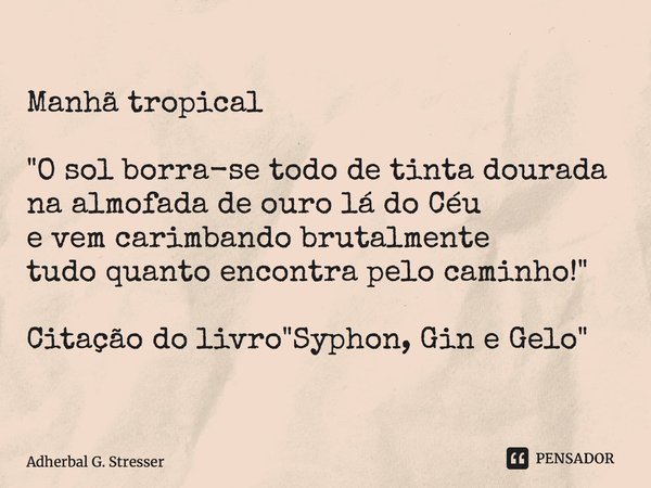 ⁠Manhã tropical "O sol borra-se todo de tinta dourada na almofada de ouro lá do Céu e vem carimbando brutalmente tudo quanto encontra pelo caminho!" C... Frase de Adherbal G. Stresser.