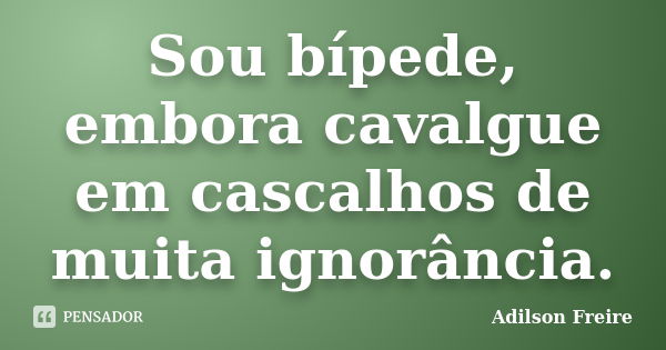 Sou bípede, embora cavalgue em cascalhos de muita ignorância.... Frase de Adilson Freire.