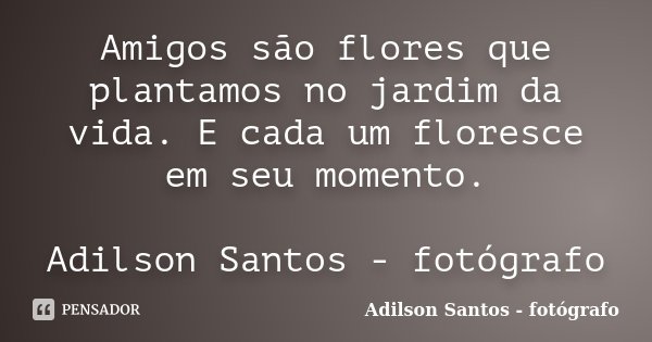 Amigos são flores que plantamos no jardim da vida. E cada um floresce em seu momento. Adilson Santos - fotógrafo... Frase de Adilson Santos - fotógrafo.