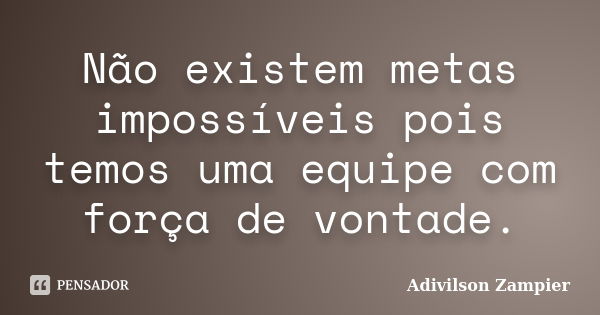 Não existem metas impossíveis pois temos uma equipe com força de vontade.... Frase de Adivilson Zampier.