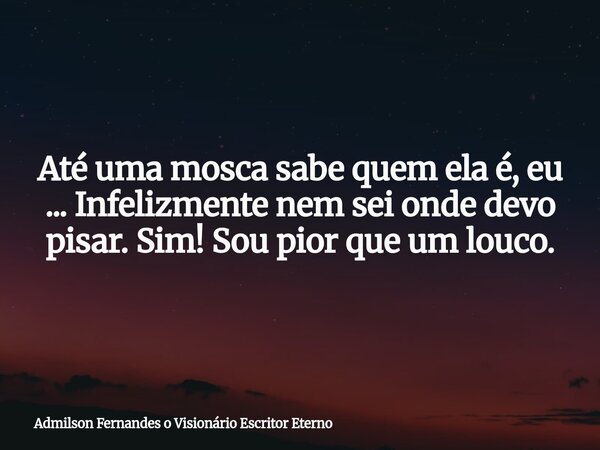 Até uma mosca sabe quem ela é, eu ... Infelizmente nem sei onde devo pisar. Sim! Sou pior que um louco.... Frase de Admilson Fernandes o Visionário Escritor Eterno.
