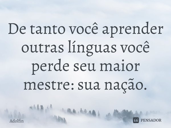 ⁠De tanto você aprender outras línguas você perde seu maior mestre: sua nação.... Frase de Adolfin.