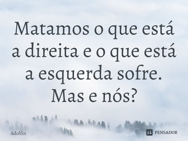 ⁠Matamos o que está a direita e o que está a esquerda sofre. Mas e nós?... Frase de Adolfin.