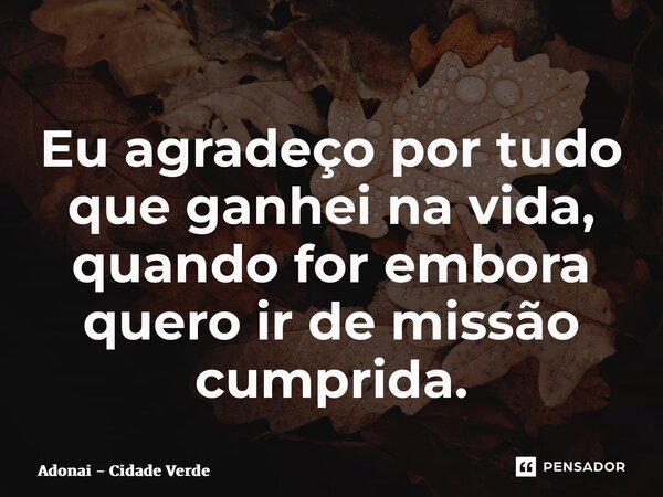 ⁠Eu agradeço por tudo que ganhei na vida, quando for embora quero ir de missão cumprida.... Frase de Adonai - Cidade Verde.
