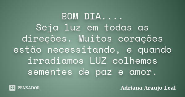 BOM DIA.... Seja luz em todas as direções. Muitos corações estão necessitando, e quando irradiamos LUZ colhemos sementes de paz e amor.... Frase de Adriana Araujo Leal.