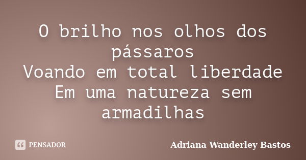 O brilho nos olhos dos pássaros Voando em total liberdade Em uma natureza sem armadilhas... Frase de Adriana Wanderley Bastos.