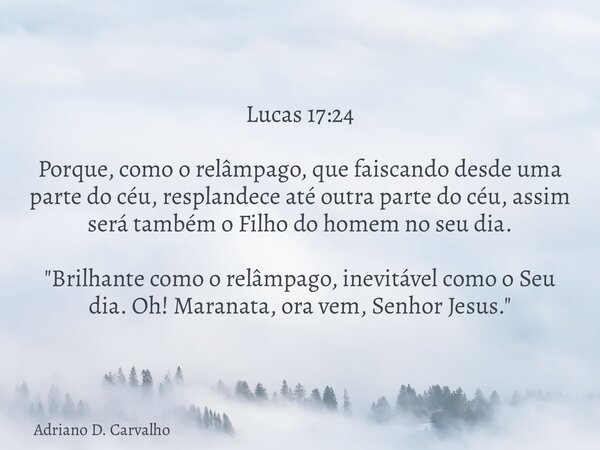 Lucas 17:24 Porque, como o relâmpago, que faiscando desde uma parte do céu, resplandece até outra parte do céu, assim será também o Filho do homem no seu dia. &... Frase de Adriano D. Carvalho.