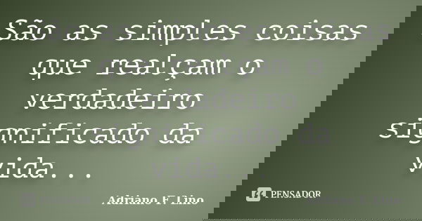 São as simples coisas que realçam o verdadeiro significado da vida...... Frase de Adriano F. Lino.
