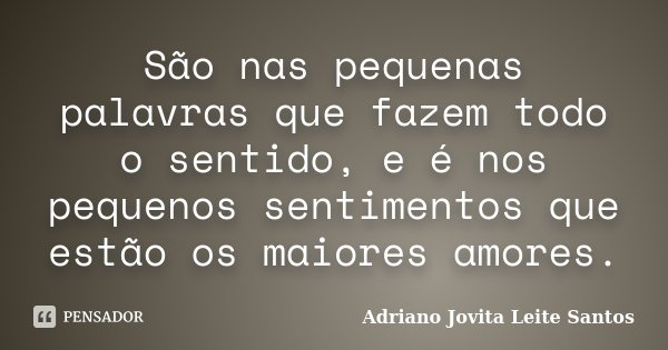 São nas pequenas palavras que fazem todo o sentido, e é nos pequenos sentimentos que estão os maiores amores.... Frase de Adriano Jovita Leite Santos.