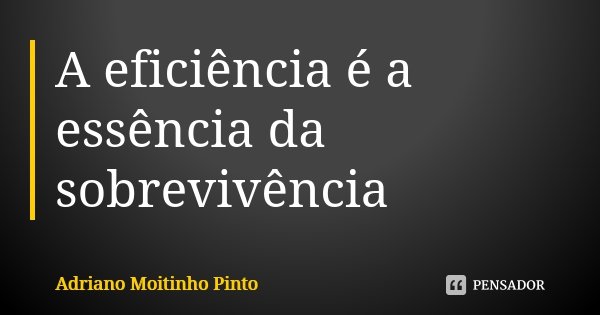 A eficiência é a essência da sobrevivência... Frase de Adriano Moitinho Pinto.