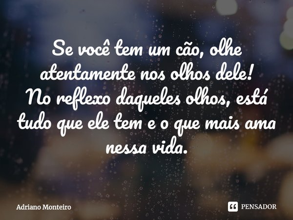⁠Se você tem um cão, olhe atentamente nos olhos dele!
No reflexo daqueles olhos, está tudo que ele tem e o que mais ama nessa vida.... Frase de Adriano Monteiro.