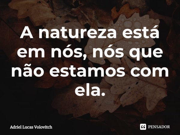 ⁠A natureza está em nós, nós que não estamos com ela.... Frase de Adriel Lucas Volovitch.