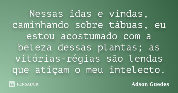 Nessas idas e vindas, caminhando sobre tábuas, eu estou acostumado com a beleza dessas plantas; as vitórias-régias são lendas que atiçam o meu intelecto.... Frase de Adson Guedes.