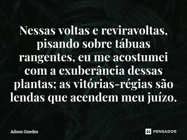 ⁠Nessas voltas e reviravoltas, pisando sobre tábuas rangentes, eu me acostumei com a exuberância dessas plantas; as vitórias-régias são lendas que acendem meu j... Frase de Adson Guedes.