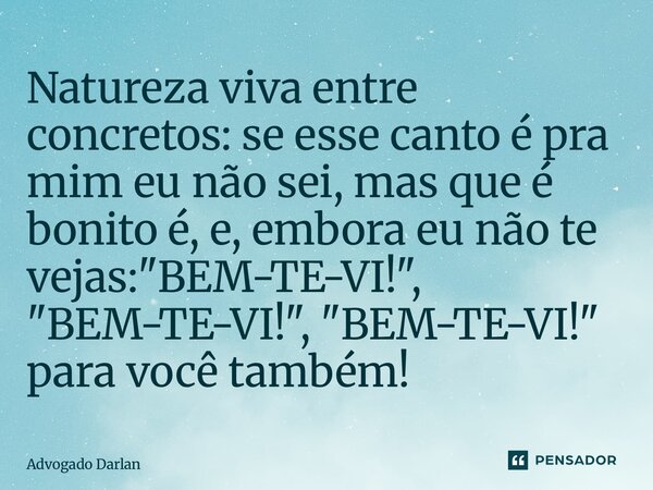 ⁠⁠Natureza viva entre concretos: se esse canto é pra mim eu não sei, mas que é bonito é, e, embora eu não te vejas: "BEM-TE-VI!", "BEM-TE-VI!&quo... Frase de Advogado Darlan Batista.