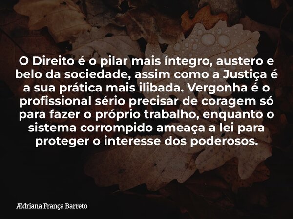 O Direito é o pilar mais íntegro, austero e belo da sociedade, assim como a Justiça é a sua prática mais ilibada. Vergonha é o profissional sério precisar de co... Frase de Ædriana França Barreto.