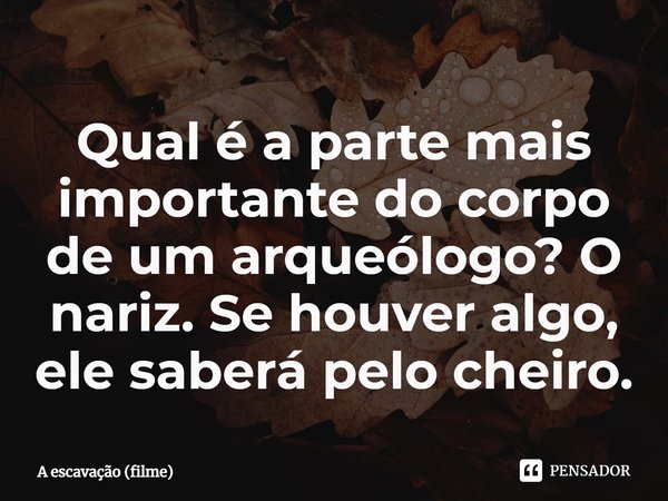 ⁠Qual é a parte mais importante do corpo de um arqueólogo? O nariz. Se houver algo, ele saberá pelo cheiro.... Frase de A escavação (filme).
