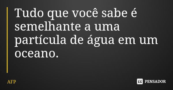 Tudo que você sabe é semelhante a uma partícula de água em um oceano.... Frase de AFP.