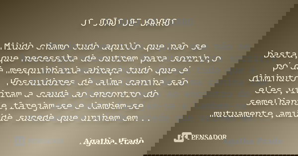 O JOÃO DE BARRO Miúdo chamo tudo aquilo que não se basta,que necessita de outrem para sorrir,o pó da mesquinharia abraça tudo que é diminuto. Possuidores de alm... Frase de Agatha Prado.