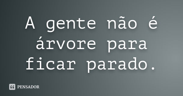 A gente não é árvore para ficar parado.