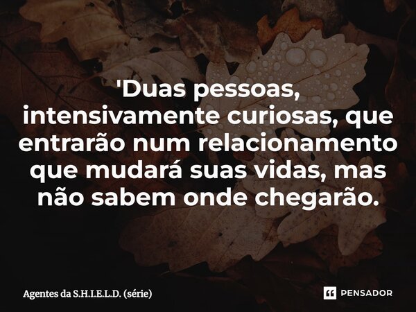 '⁠Duas pessoas, intensivamente curiosas, que entrarão num relacionamento que mudará suas vidas, mas não sabem onde chegarão.... Frase de Agentes da S.H.I.E.L.D. (série).