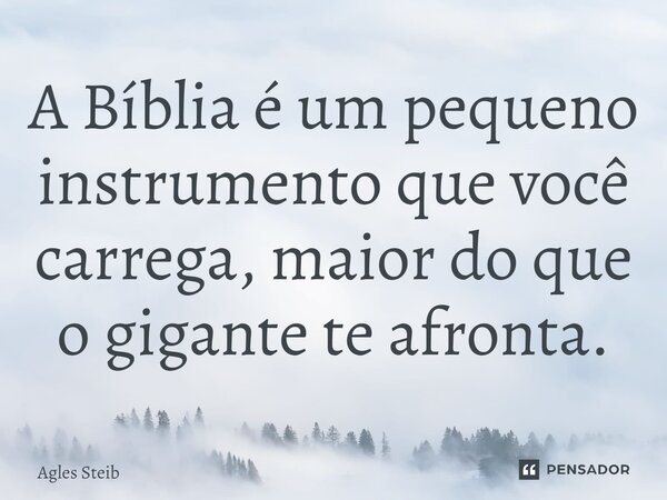 ⁠A Bíblia é um pequeno instrumento que você carrega, maior do que o gigante te afronta.... Frase de Agles Steib.