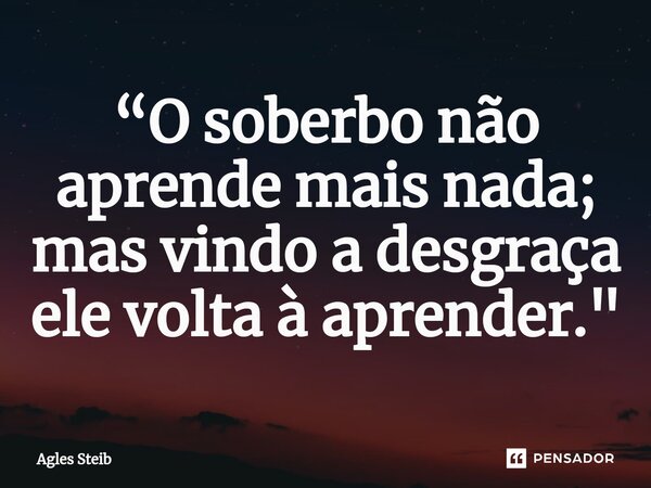⁠“O soberbo não aprende mais nada; mas vindo a desgraça ele volta à aprender."... Frase de Agles Steib.