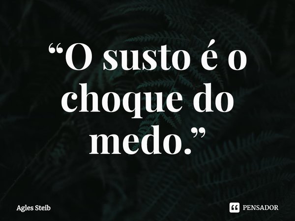 ⁠“O susto é o choque do medo.”... Frase de Agles Steib.