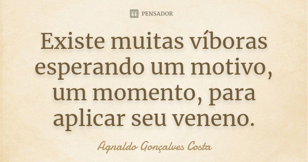 Existe muitas víboras esperando um motivo, um momento, para aplicar seu veneno.... Frase de Agnaldo Gonçalves Costa.