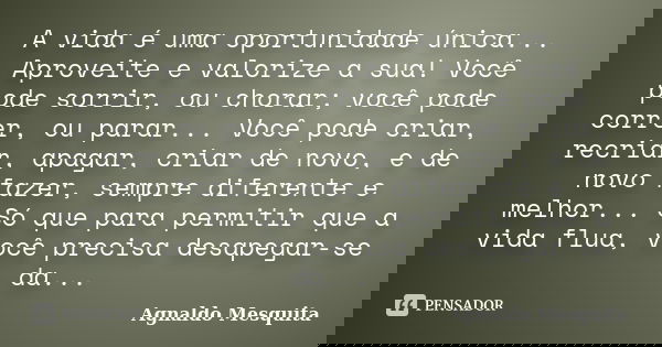 A vida é uma oportunidade única... Aproveite e valorize a sua! Você pode sorrir, ou chorar; você pode correr, ou parar... Você pode criar, recriar, apagar, cria... Frase de Agnaldo Mesquita.