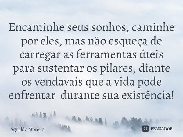 ⁠Encaminhe seus sonhos, caminhe por eles, mas não esqueça de carregar as ferramentas úteis para sustentar os pilares, diante os vendavais que a vida pode enfren... Frase de Agnaldo Moreira.