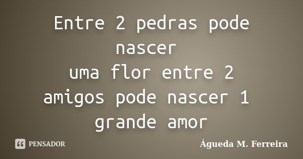 Entre 2 pedras pode nascer uma flor entre 2 amigos pode nascer 1 grande amor... Frase de Águeda M. Ferreira.