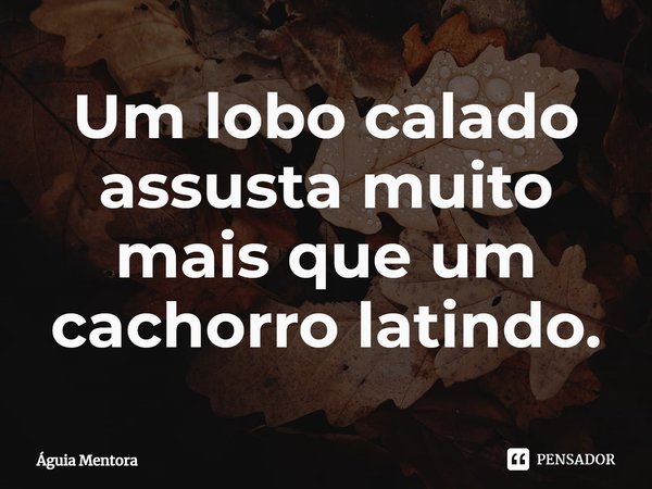 ⁠Um lobo calado assusta muito mais que um cachorro latindo.... Frase de Águia Mentora.