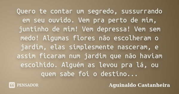 Quero te contar um segredo, sussurrando em seu ouvido. Vem pra perto de mim, juntinho de mim! Vem depressa! Vem sem medo! Algumas flores não escolheram o jardim... Frase de Aguinaldo Castanheira.