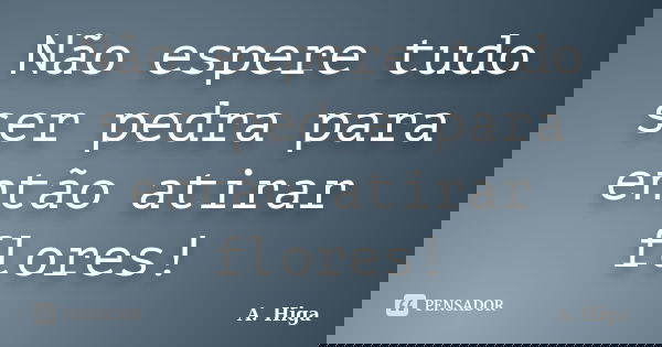 Não espere tudo ser pedra para então atirar flores!... Frase de A. Higa.