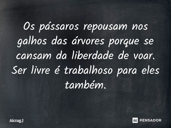 ⁠Os pássaros repousam nos galhos das árvores porque se cansam da liberdade de voar. Ser livre é trabalhoso para eles também.... Frase de Aicrag.J.