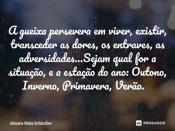 A gueixa persevera em viver, existir, transceder as dores, os entraves, as adversidades...Sejam qual for a situação, e a estação do ano: Outono, Inverno, Primav... Frase de Aimara Maia Schindler.