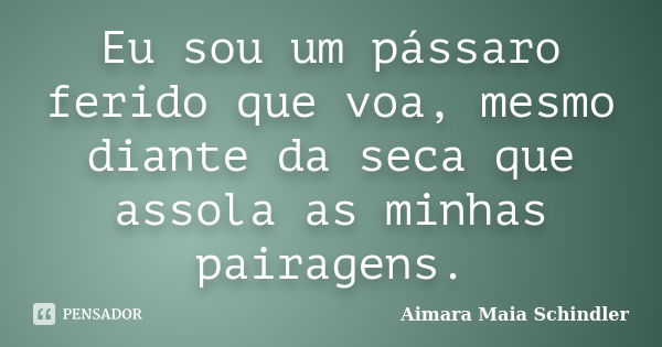 Eu sou um pássaro ferido que voa, mesmo diante da seca que assola as minhas pairagens.... Frase de Aimara Maia Schindler.