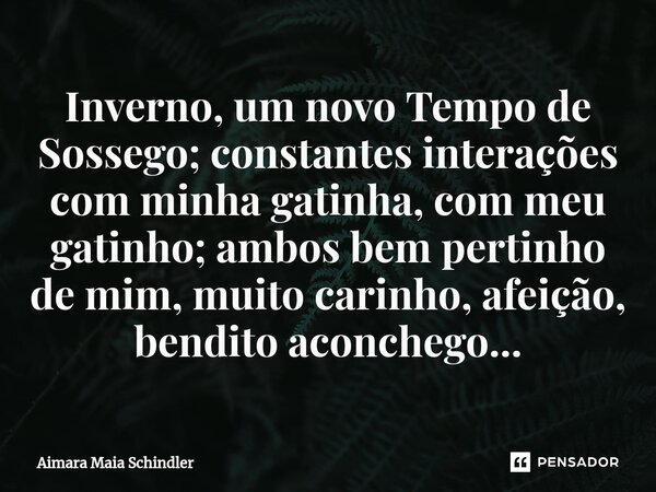 ⁠Inverno, um novo Tempo de Sossego; constantes interações com minha gatinha, com meu gatinho; ambos bem pertinho de mim, muito carinho, afeição, bendito aconche... Frase de Aimara Maia Schindler.